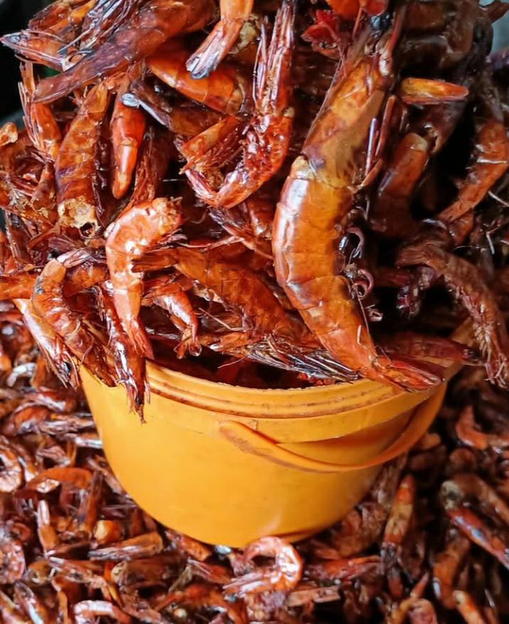 WhatsApp Image 2025-03-31 at 04.58.50